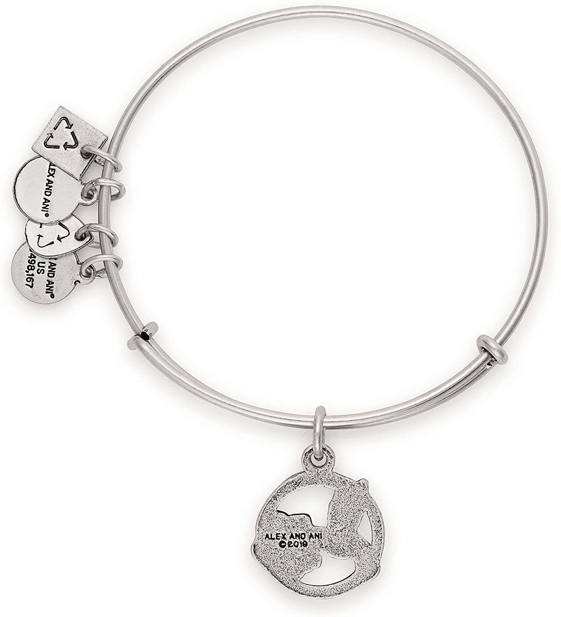 Alex and ani hummingbird silver sale