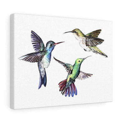 Three Hummingbirds in Flight Wall Art Decor - We Love Hummingbirds