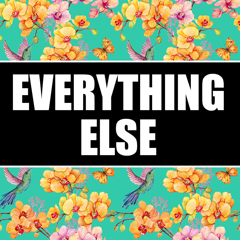 Everything Else – We Love Hummingbirds