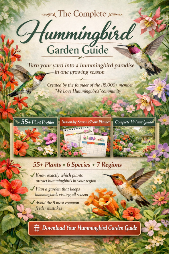 The Complete Hummingbird Garden Guide - DIGITAL DOWNLOAD – We Love ...