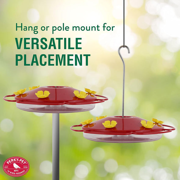 Perky-Pet 282-1SR Hummingbird Oasis 16-Ounce Hummingbird Feeder - We Love Hummingbirds