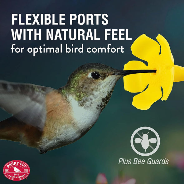 Perky-Pet 282-1SR Hummingbird Oasis 16-Ounce Hummingbird Feeder - We Love Hummingbirds
