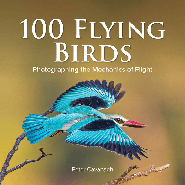100 Flying Birds: Photographing the Mechanics of Flight - We Love Hummingbirds