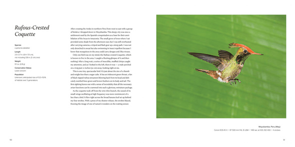 100 Flying Birds: Photographing the Mechanics of Flight - We Love Hummingbirds
