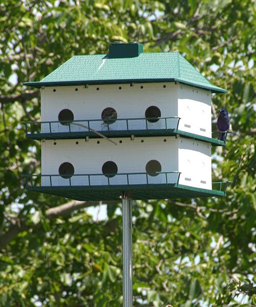 12 Room Purple Martin Two-Story House - We Love Hummingbirds