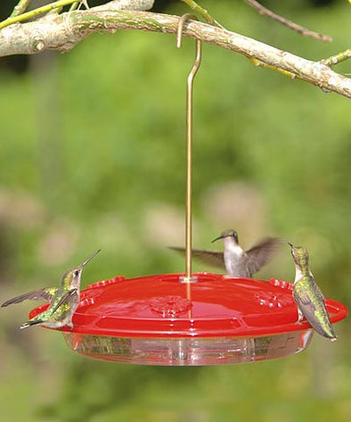 16 ounce HummZinger Excel Hummingbird Feeder - We Love Hummingbirds