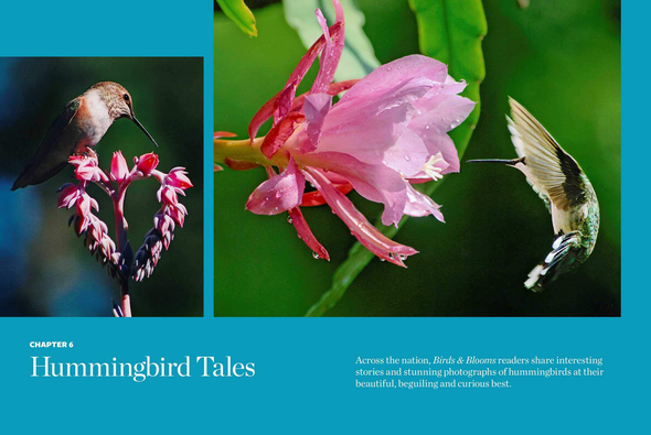 Birds & Blooms Ultimate Guide to Hummingbirds: Discover the Wonders of One of Nature'S Most Magical Creatures