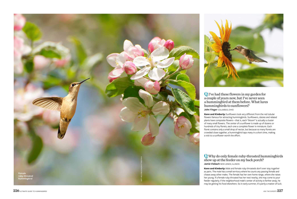 Birds & Blooms Ultimate Guide to Hummingbirds: Discover the Wonders of One of Nature'S Most Magical Creatures