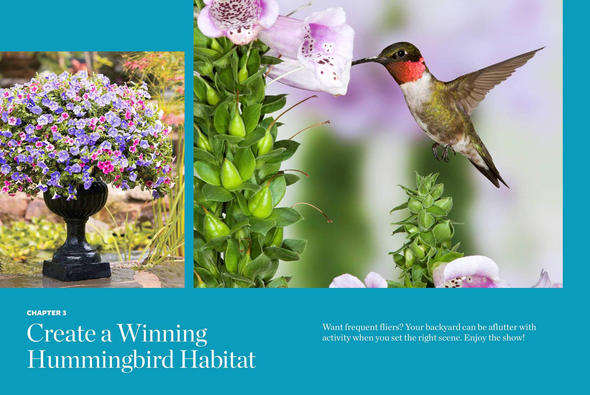 Birds & Blooms Ultimate Guide to Hummingbirds: Discover the Wonders of One of Nature'S Most Magical Creatures