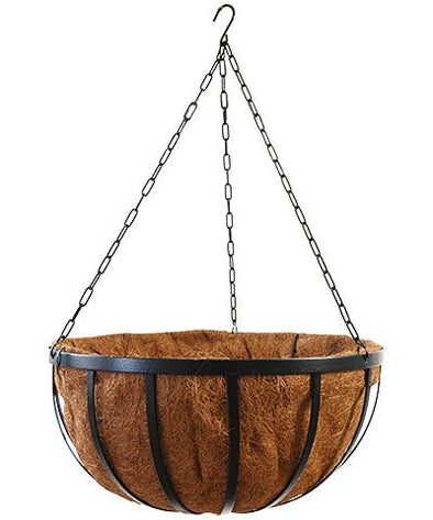 20" Black Forged Hanging Basket w/Coco Liner - We Love Hummingbirds