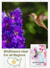 20 Hummingbird Garden Wildflower Seed Packets - We Love Hummingbirds