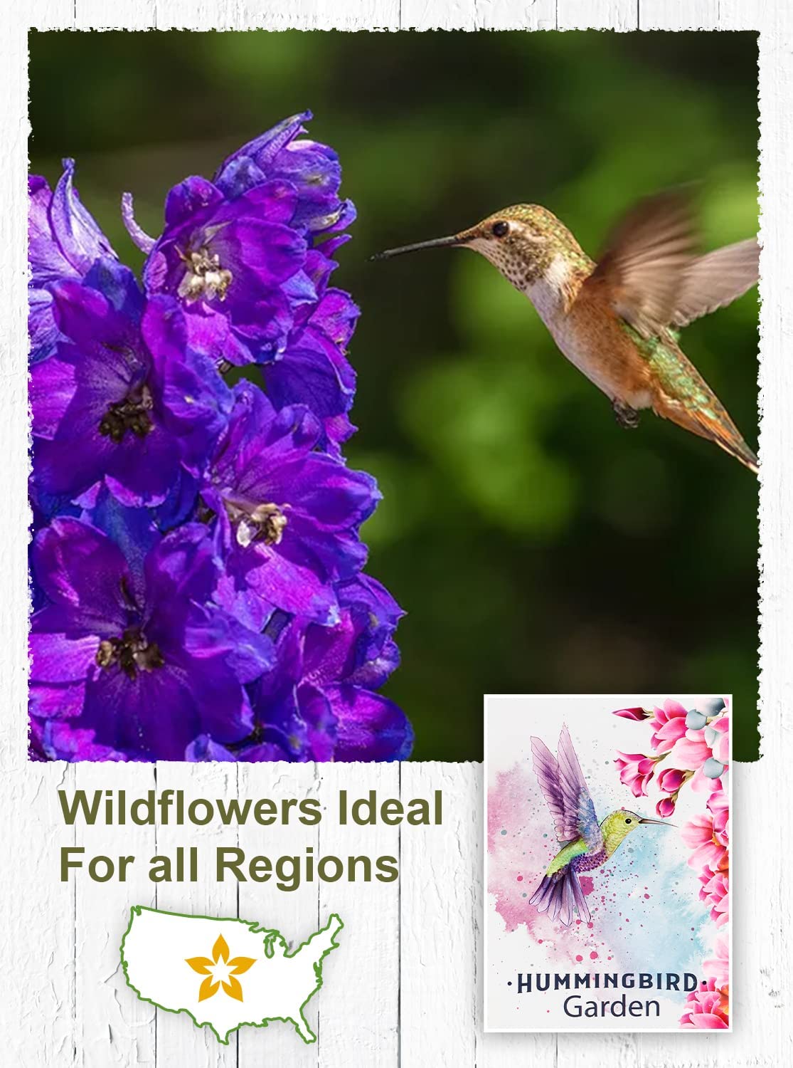 wildflower seeds for hummingbirds 20 Hummingbird Garden Wildflower Seed Packets