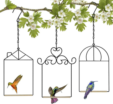 3 Pack of Hummingbird Swings - We Love Hummingbirds