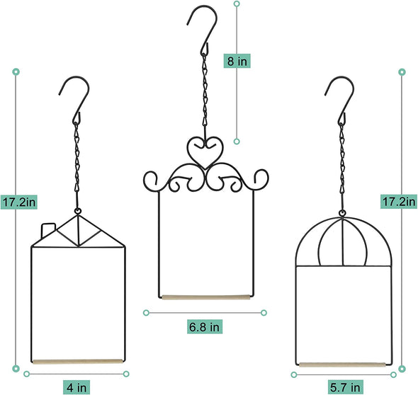 3 Pack of Hummingbird Swings - We Love Hummingbirds