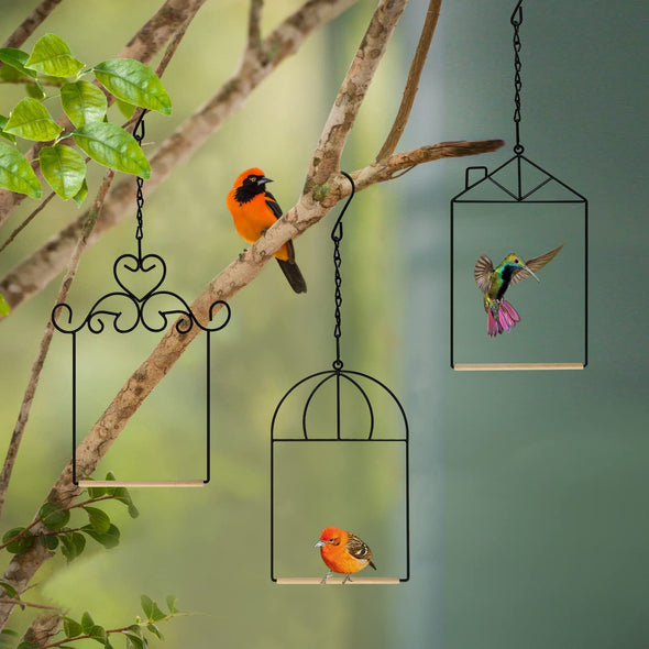 3 Pack of Hummingbird Swings - We Love Hummingbirds