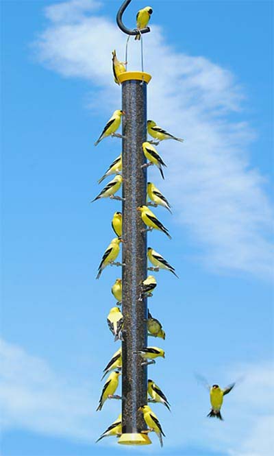 36" Yellow Finch Flocker Bird Feeder - We Love Hummingbirds