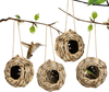 4Pack Hanging Bird Hummingbird Nest House for Outside,Natural Grass Hanging Bird Hut,Made of Natural Grass, Perfect for Garden Patio Lawn Office Indoor - We Love Hummingbirds