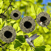 4Pack Hanging Bird Hummingbird Nest House for Outside,Natural Grass Hanging Bird Hut,Made of Natural Grass, Perfect for Garden Patio Lawn Office Indoor - We Love Hummingbirds