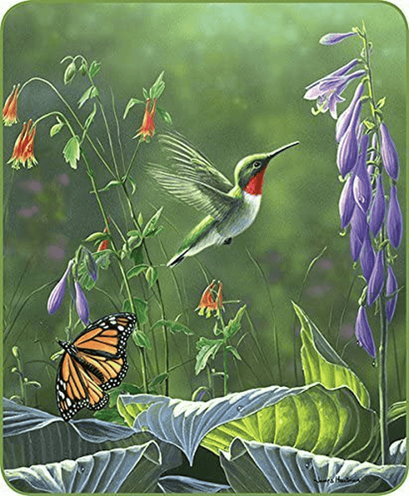 60" X 80" Blanket Comfort Warmth Soft Cozy Air Conditioning Easy Care Machine Wash Hummingbird Butterfly - We Love Hummingbirds
