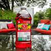 64 Oz. Red Ready-To-Use Hummingbird Nectar - We Love Hummingbirds