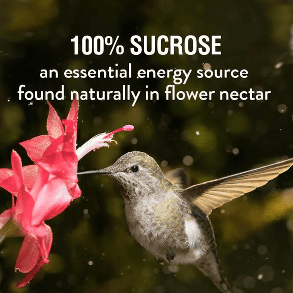 64 Oz. Red Ready-To-Use Hummingbird Nectar - We Love Hummingbirds