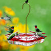 8 ounce Square Hummingbird Feeder - We Love Hummingbirds