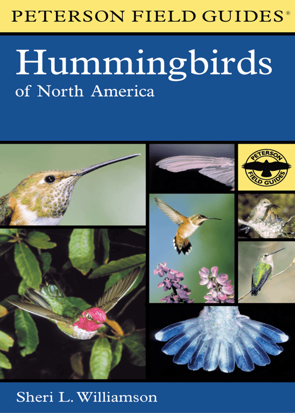 A Field Guide to Hummingbirds of North America (Peterson Field Guides) - We Love Hummingbirds