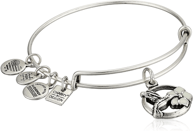 Alex and Ani Tokens Expandable Bangle for Women, Hummingbird Charm, Rafaelian Finish, 2 to 3.5 In - We Love Hummingbirds