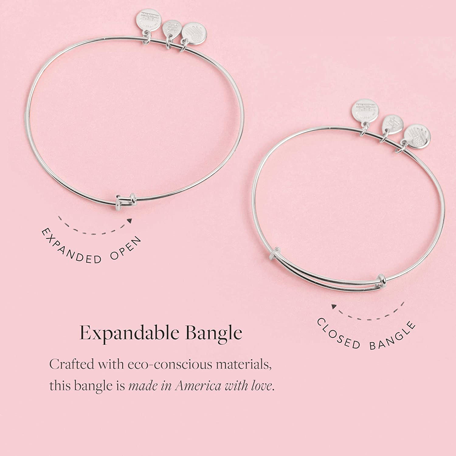 Alex and Ani Tokens Expandable Bangle for Women Hummingbird Charm