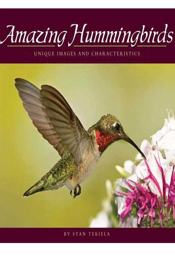 Amazing Hummingbirds Photography Book - We Love Hummingbirds