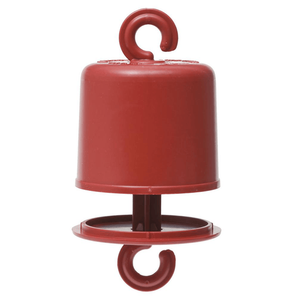 Ant Guard for Hummingbird Feeders - We Love Hummingbirds