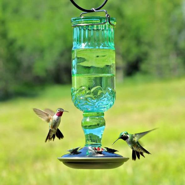 Antique Green Bottle Hummingbird Feeder - Holds 24 oz of Nectar - We Love Hummingbirds