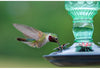 Antique Green Bottle Hummingbird Feeder - Holds 24 oz of Nectar - We Love Hummingbirds
