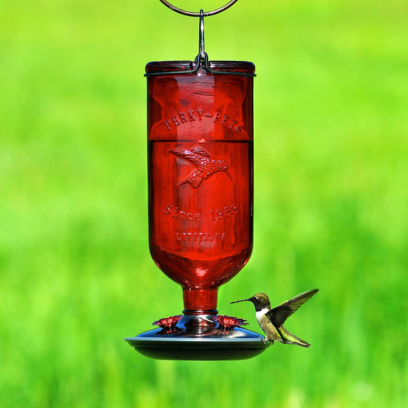 Antique Red Glass Bottle Hummingbird Feeder - Holds 16 oz of Nectar - We Love Hummingbirds