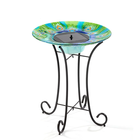 Argus Peacock Glass Solar Birdbath - We Love Hummingbirds