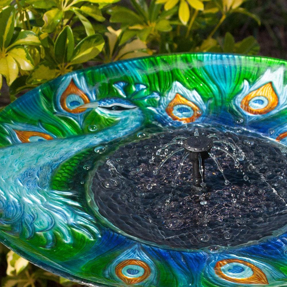 Argus Peacock Glass Solar Birdbath - We Love Hummingbirds