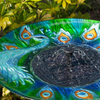 Argus Peacock Glass Solar Birdbath - We Love Hummingbirds