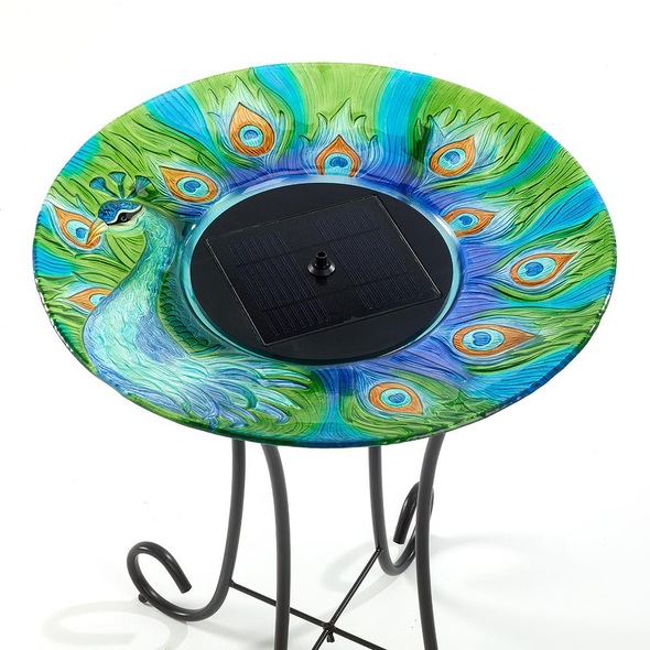 Argus Peacock Glass Solar Birdbath - We Love Hummingbirds