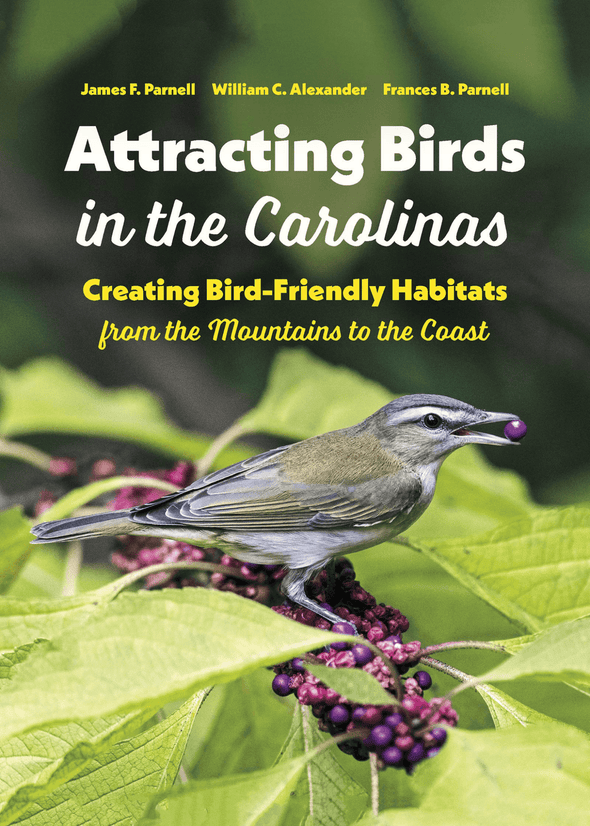Attracting Birds in the Carolinas: Creating Bird-Friendly Habitats from the Mountains to the Coast - We Love Hummingbirds