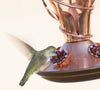 Beautiful Copper & Glass Hummingbird Feeder - Holds 32 OZ of Nectar! 100% Guaranteed! - We Love Hummingbirds
