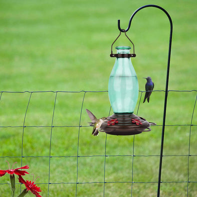 Beautiful Edison Bulb Glass Hummingbird Feeder - Holds 25 oz of Nectar - We Love Hummingbirds