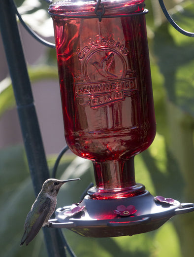 Beautiful Red Antique Bottle Hummingbird Feeder - Includes 5 Nectar Perches! 100% Guaranteed That Your Hummers will Love! - We Love Hummingbirds