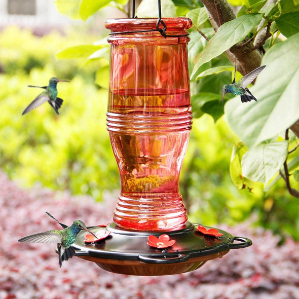 Beautiful Red Glass Hummingbird Feeder - Holds 26 oz of Nectar - We Love Hummingbirds