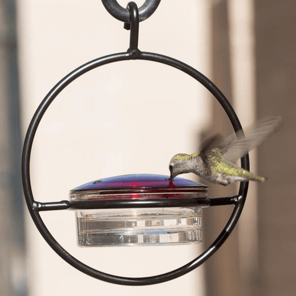 Beautiful Small Glass Hanging Hummingbird Feeder - Attracts Hummers Like Crazy! - We Love Hummingbirds