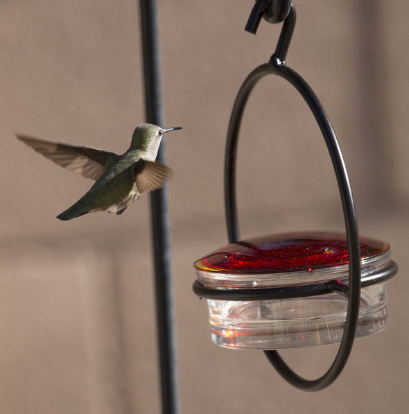 Beautiful Small Glass Hanging Hummingbird Feeder - Attracts Hummers Like Crazy! - We Love Hummingbirds