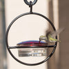 Beautiful Small Glass Hanging Hummingbird Feeder - Attracts Hummers Like Crazy! - We Love Hummingbirds