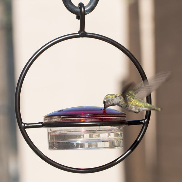 Beautiful Small Glass Hanging Hummingbird Feeder - Attracts Hummers Like Crazy! - We Love Hummingbirds