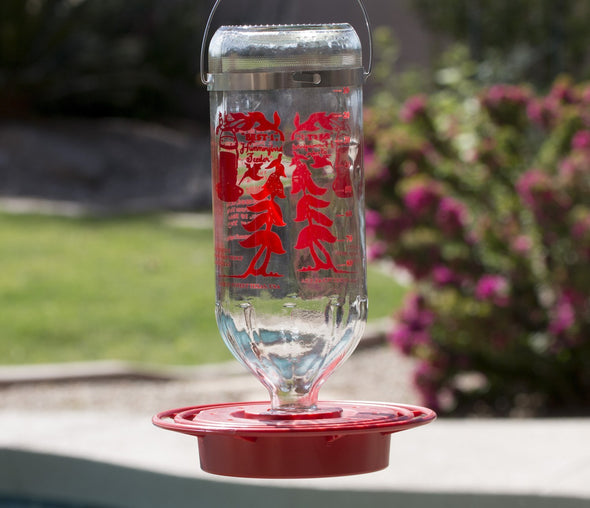 Best Hummingbird Feeder with Huge 32oz Glass Nectar Tank - Bee & Wasp Proof - Includes Built-In Perch & 8 Feeding Stations! - We Love Hummingbirds