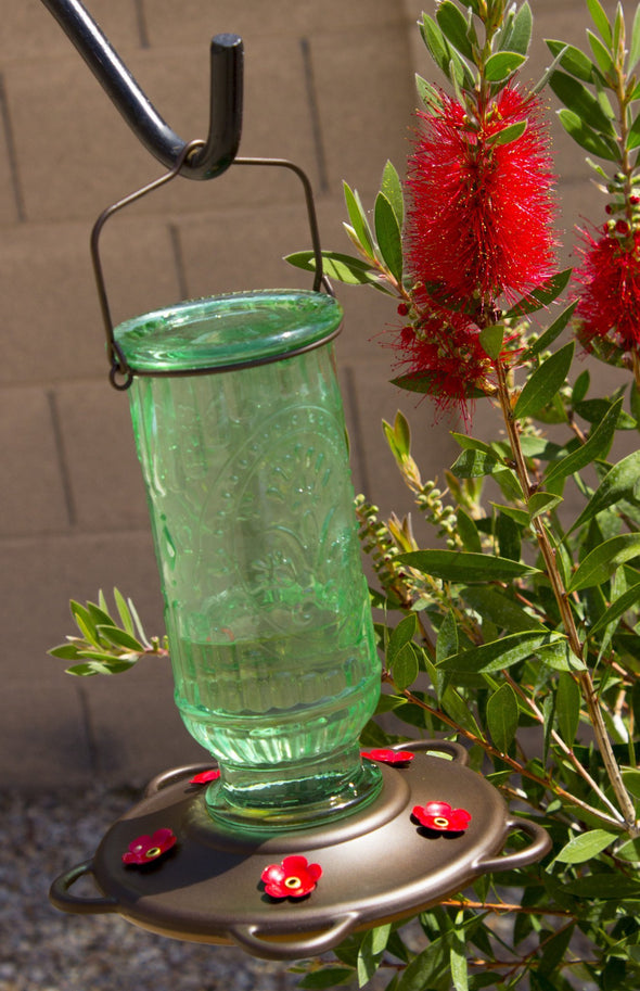 Best Nectar Feeder for Hummingbirds with 5 Feeding Spouts - We Love Hummingbirds