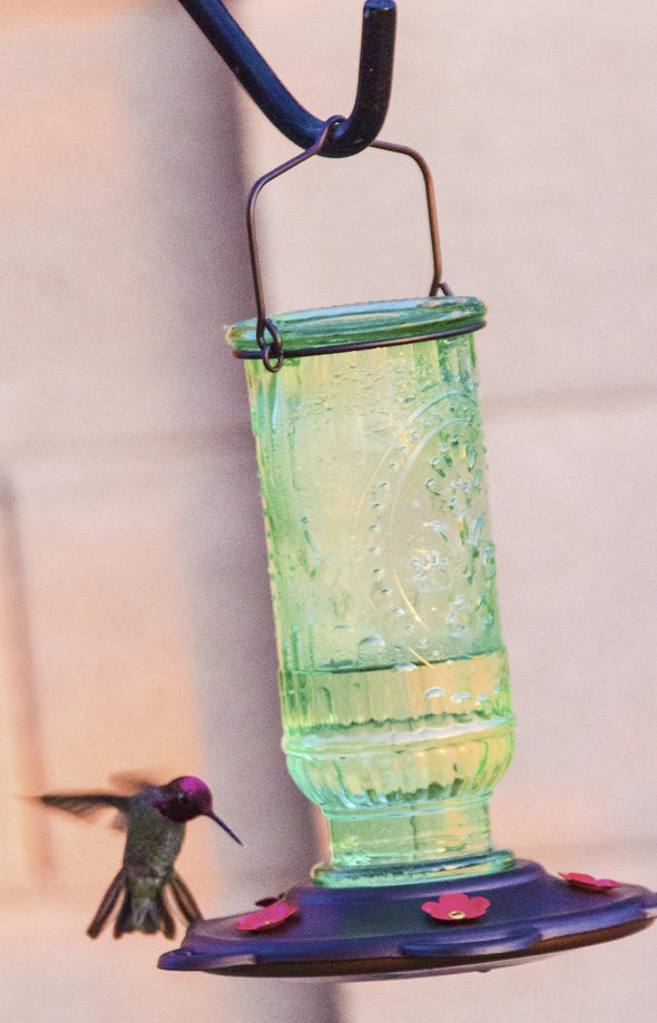 Best Nectar Feeder for Hummingbirds with 5 Feeding Spouts - We Love Hummingbirds